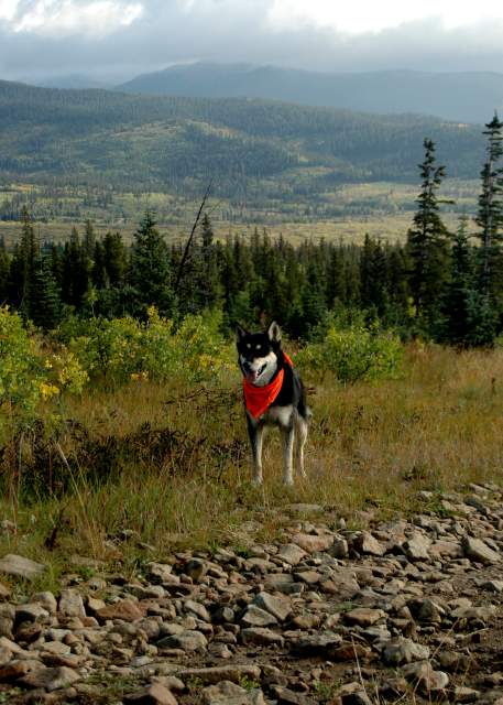 20060907Camping4759