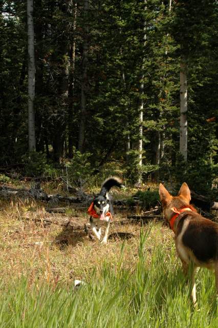 20060907Camping4839