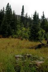 20060907Camping4534