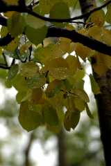 20060907Camping4584