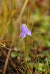 20060907Camping4596