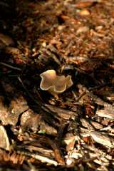 20060907Camping4703