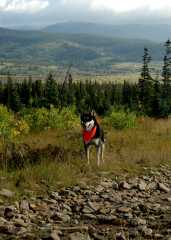 20060907Camping4759
