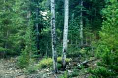 20060907Camping4796