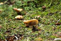20060907Camping4803