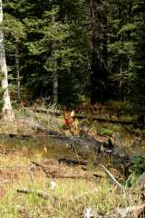 20060907Camping4832