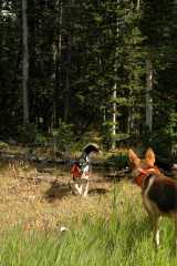 20060907Camping4839