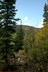 20060907Camping4873
