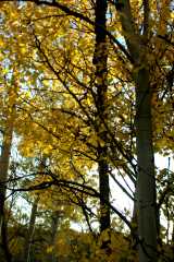 20060930Fairplay5532