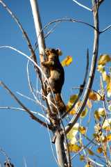 20061022DogPark6860