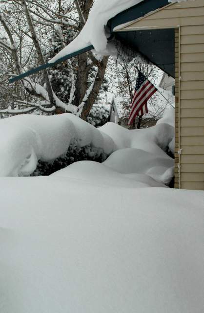 20061221Blizzard9141