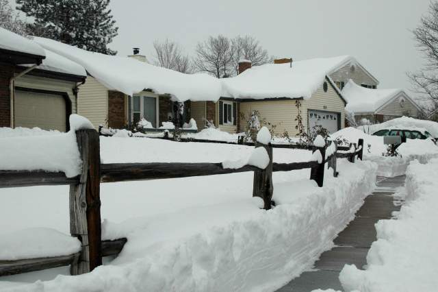 20061221Blizzard9158