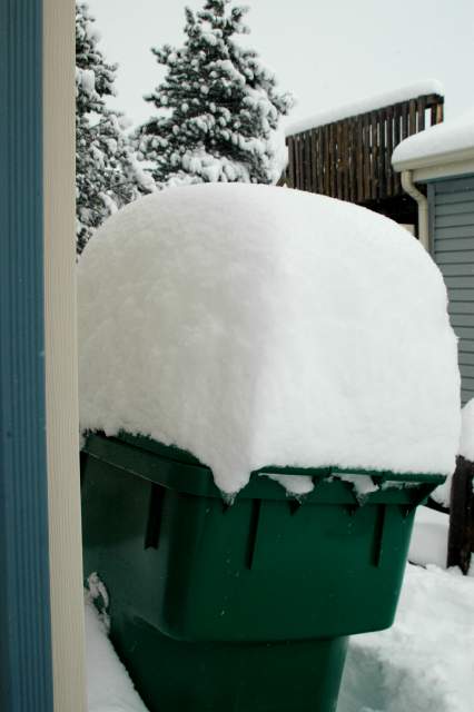 20061221Blizzard9163