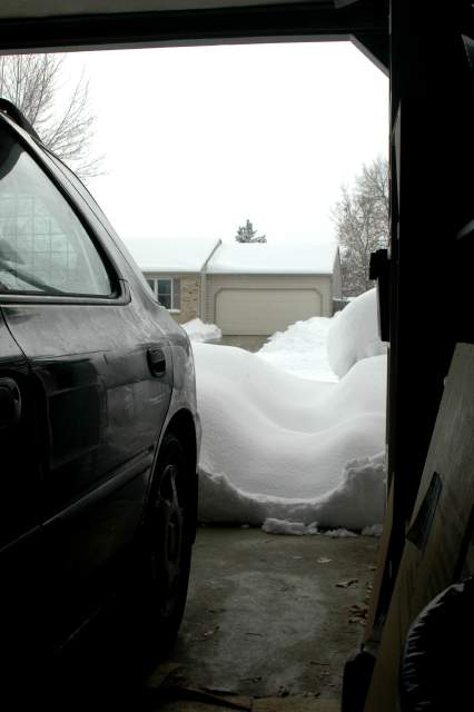 20061221Blizzard9167