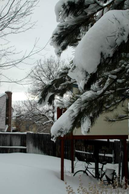 20061221Blizzard9203