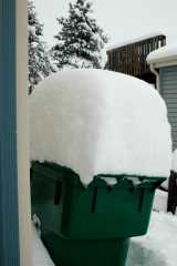 20061221Blizzard9163