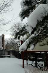 20061221Blizzard9203