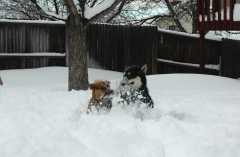 20061221Blizzard9254