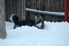 20061221Blizzard9360