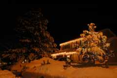 20061221Blizzard9408