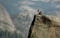 003-2005YosemiteGlacierPoint6734