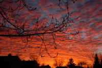 010-20051220Sunrise1592