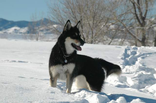 20070101DogPark9710