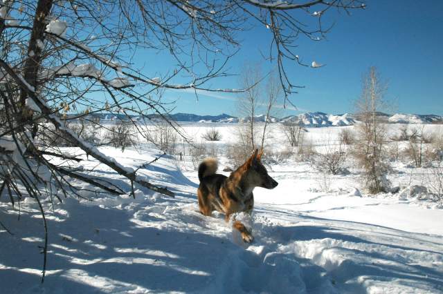 20070101DogPark9761