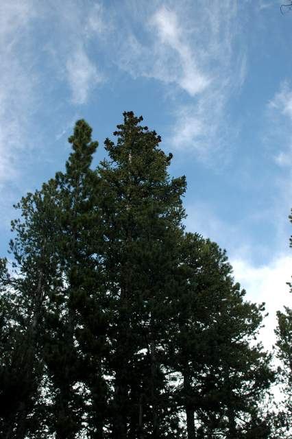 20070603Camping2067