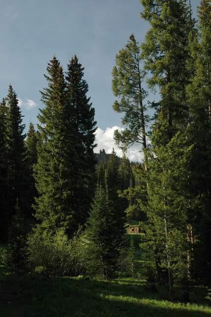 20070614RabbitEars2830