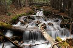 20070603Camping1845