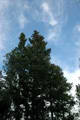 20070603Camping2067
