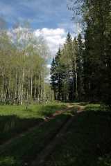 20070614RabbitEars2615