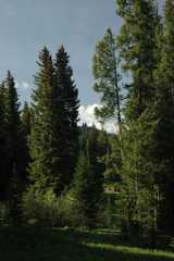 20070614RabbitEars2830