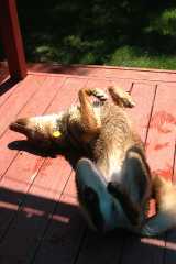 20070623Camping3597