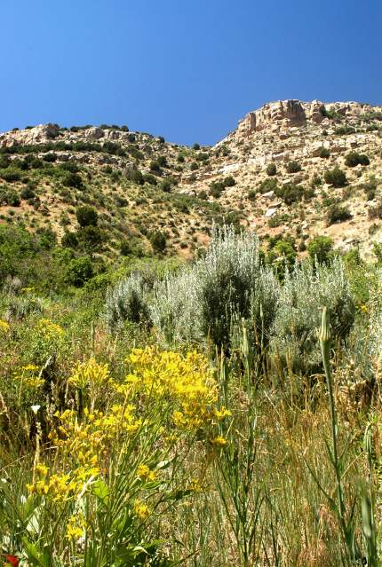 20070615CastorGulch3178