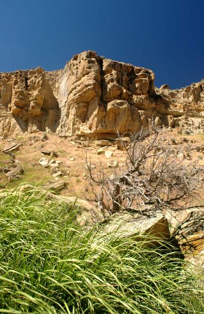 20070615CastorGulch3340