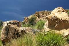20070615CastorGulch3006