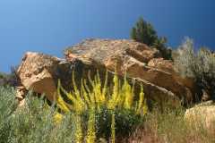 20070615CastorGulch3237