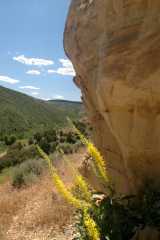20070615CastorGulch3290