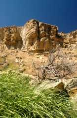 20070615CastorGulch3340