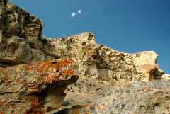 20070615CastorGulch3403