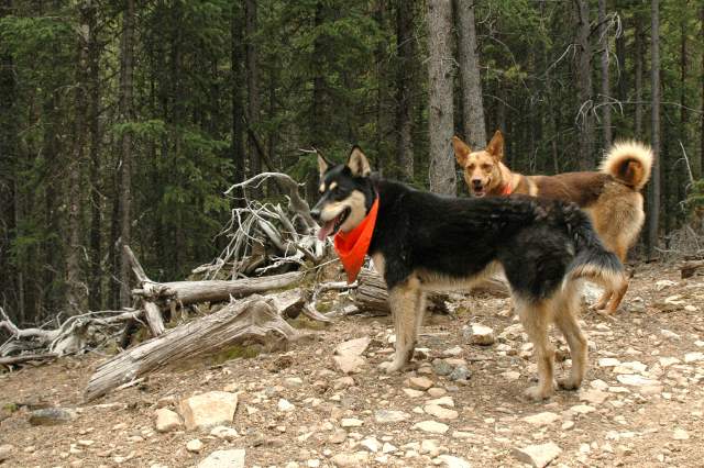 20070603Camping1666