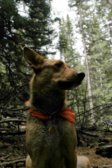 20070603Camping1807