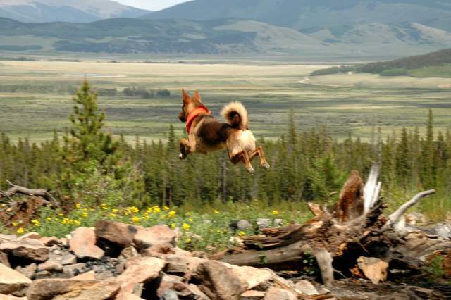 20070623Camping3712