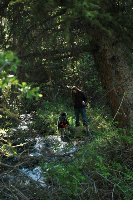 20070623Camping4047