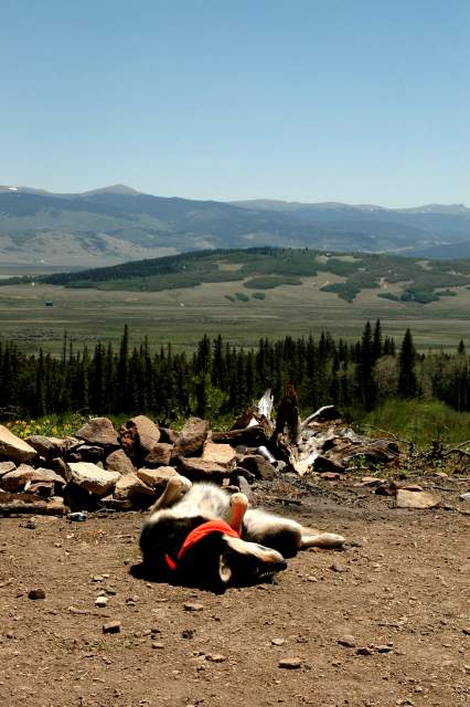 20070623Camping4104