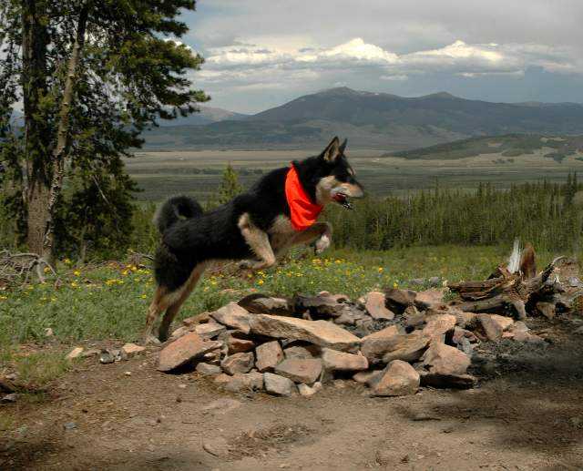 20070623Sika01