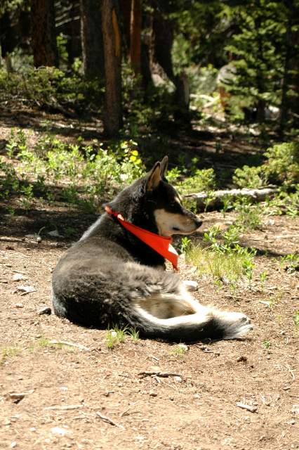 20070624Camping4154