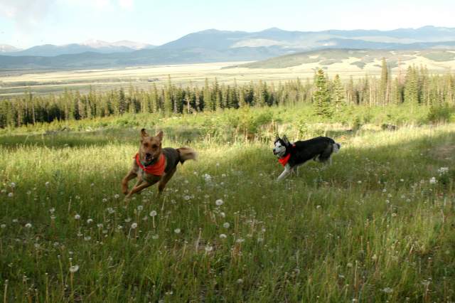 20070624Camping4274